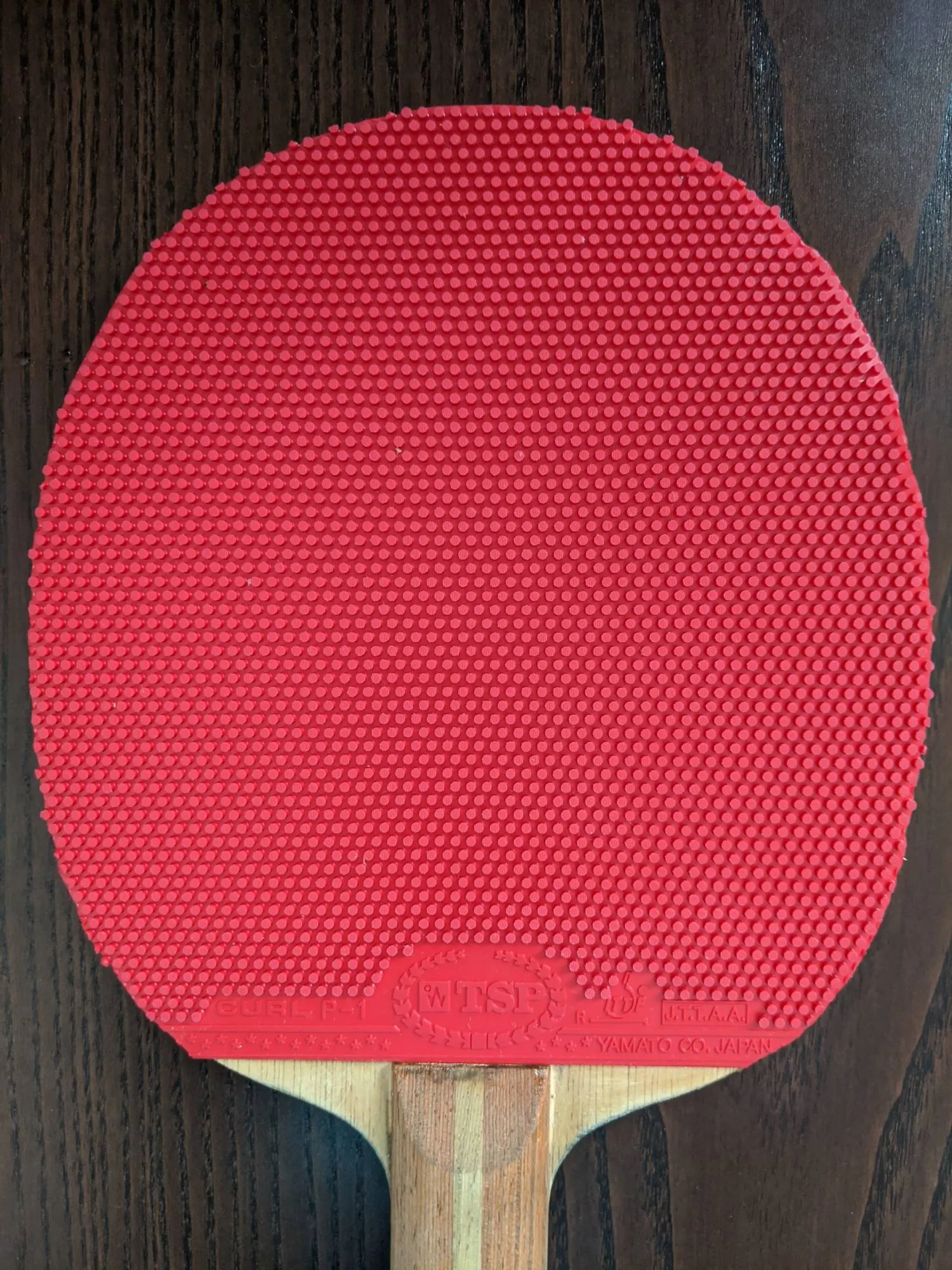 Närbild på gummit på ett pingisracket